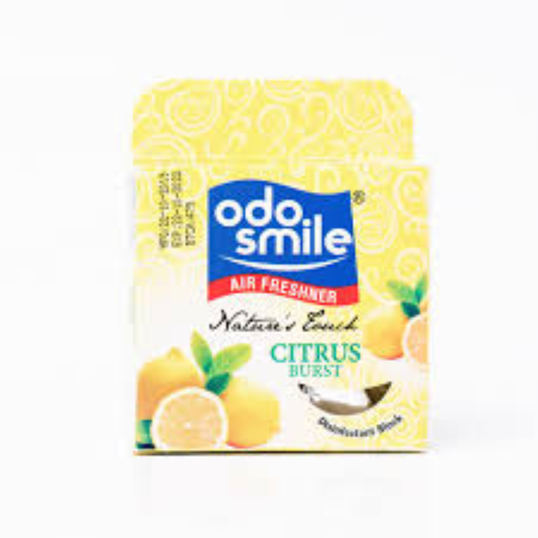 ODO SMILE A/FRESHNER BLOCK CITRUS 50G